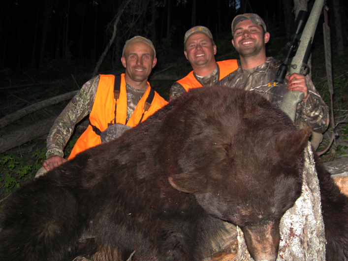 Bear Hunts