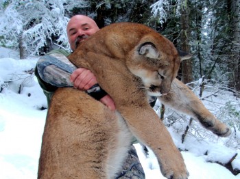 mountain lion hunts