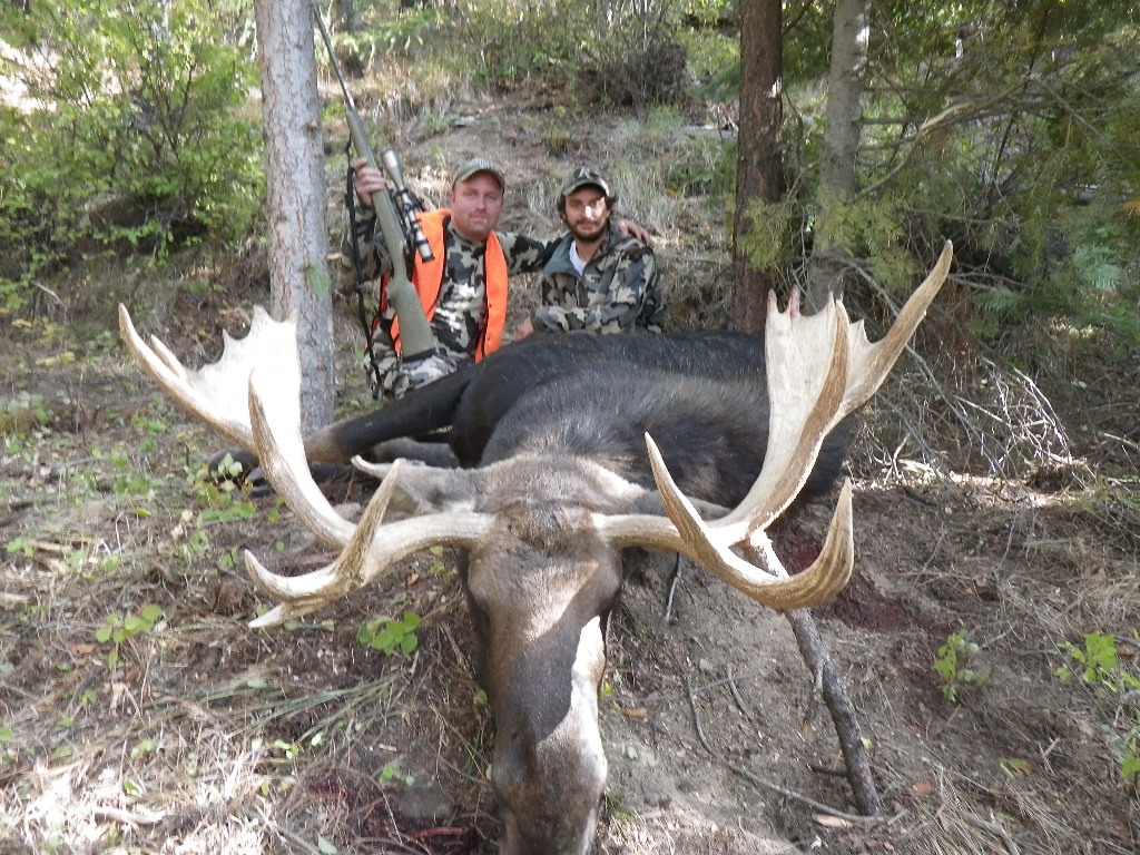 Best Montana Moose Hunts