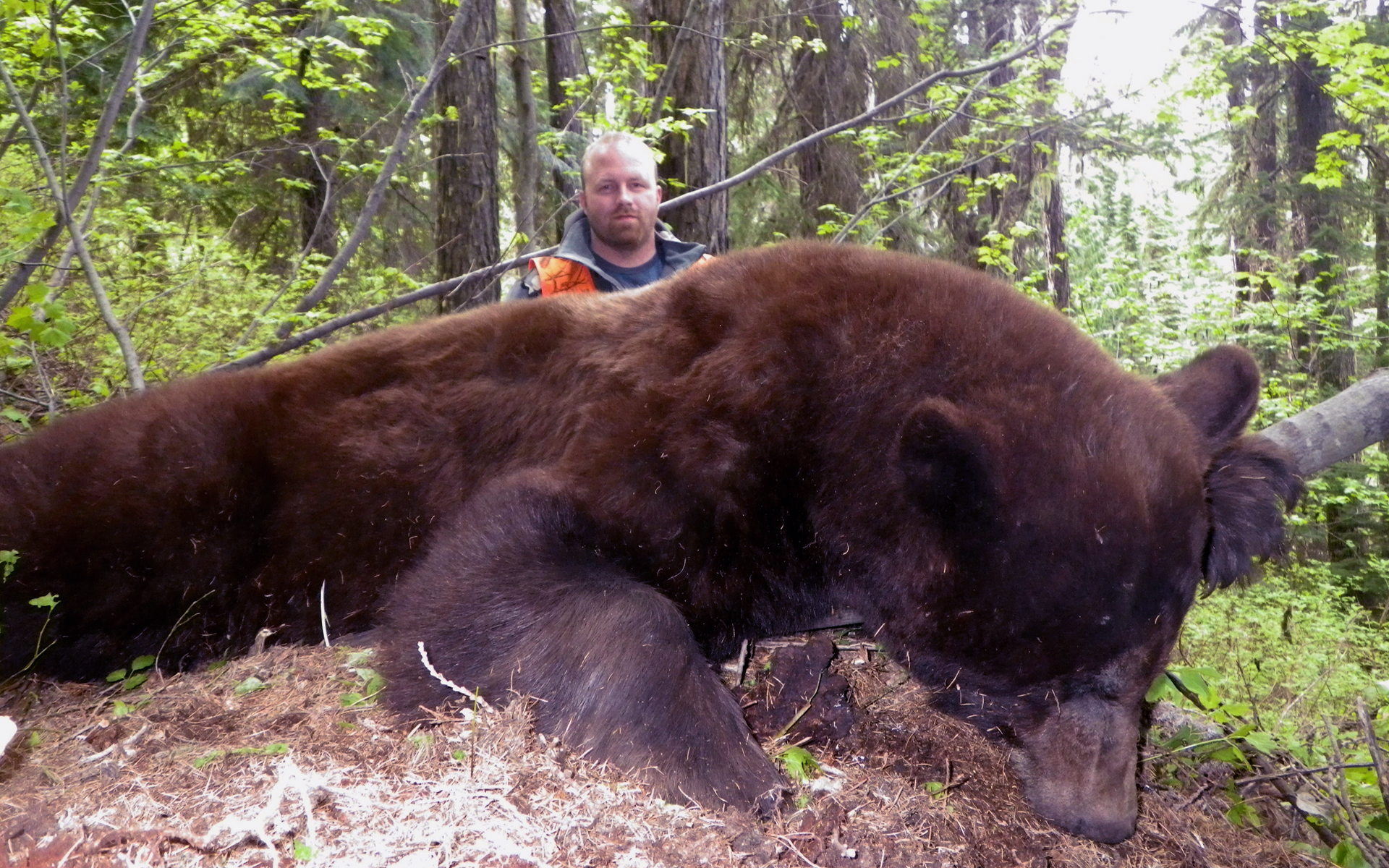 Montana Hunting Outfitter | Guided Elk hunting, Deer hunting, Bear ...