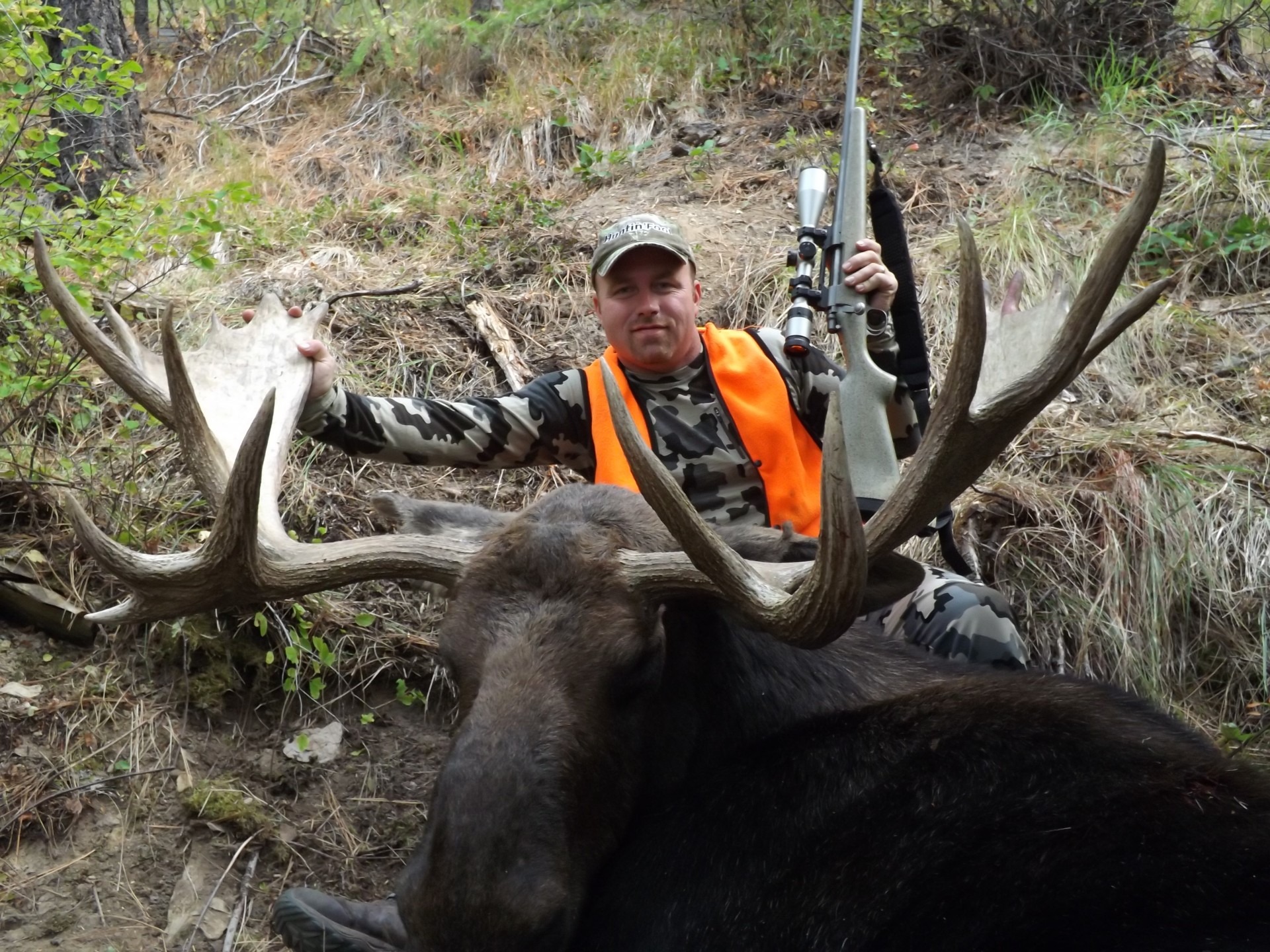 Montana Best Moose Hunts | Montana Hunting Outfitter