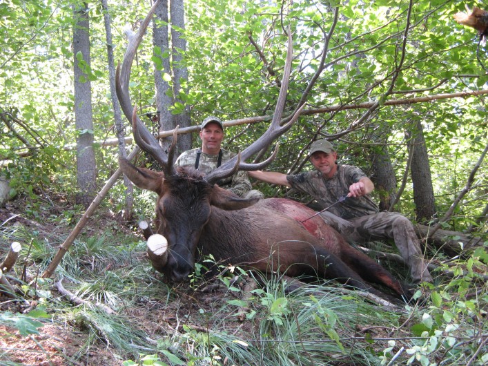 Best Archery Elk Hunts Montana Hunting Outfitter