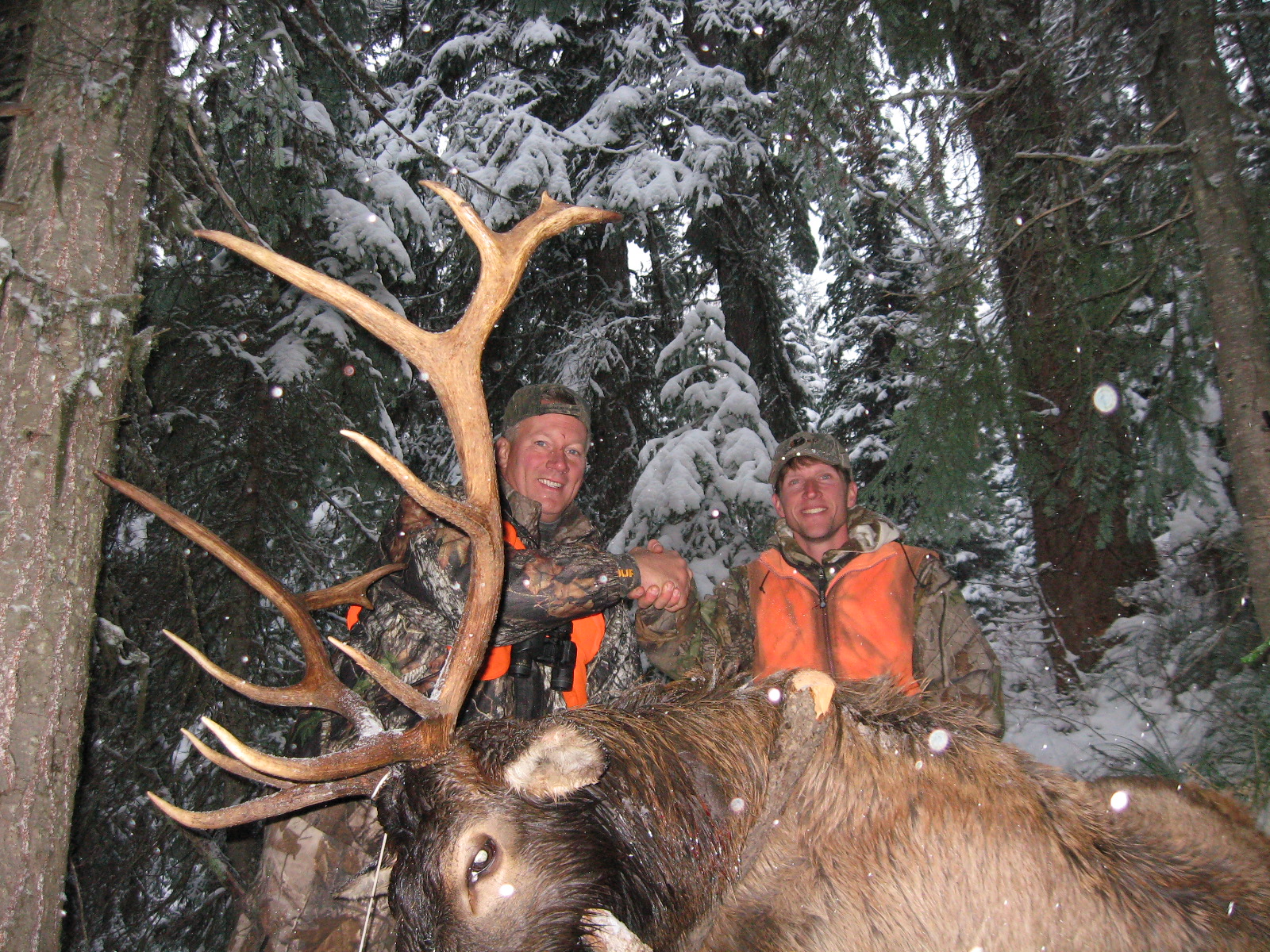 Best Archery Elk Hunts Montana Hunting Outfitter