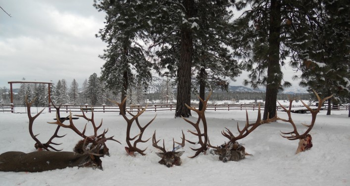 Montana Hunting Lodge