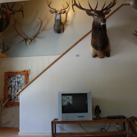 Hunting Lodge in Trout Creek, MT Montana Hunting Outfitter