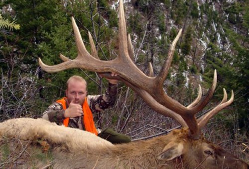 Bull Elk hunting Montana Bull Elk hunting Montana