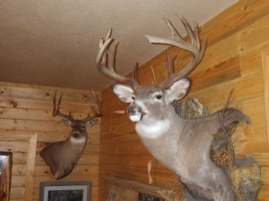 Hunting Lodge trophy whitetails