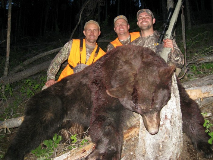 montana bear hunting
