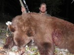 Bear hunts Montana
