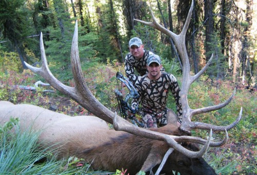 Archery Elk hunts Archery Elk hunts