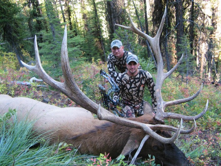 Archery Elk hunts