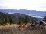 Montana horse riding adventure