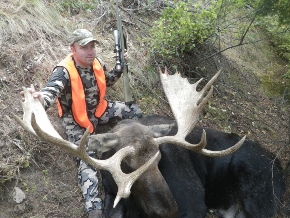 Moose hunt 2014