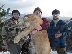 Mountain lion hunting