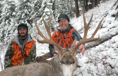 Mule deer best hunt Mule deer best hunt