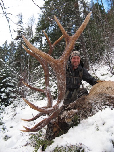 Rifle Elk hunting Montana