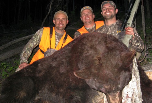 bear hunting montana bear hunting montana