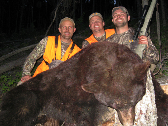 bear hunting montana