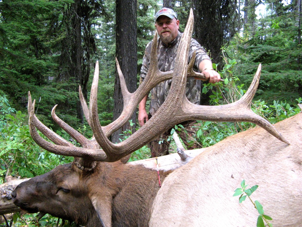 Bull elk hunting season montana