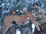 cougar hunts montana
