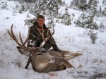mule deer hunting
