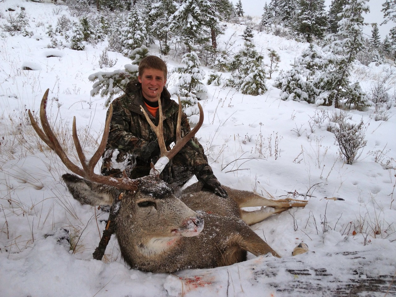 Our Best Mule Deer Hunts Montana Hunting Outfitter