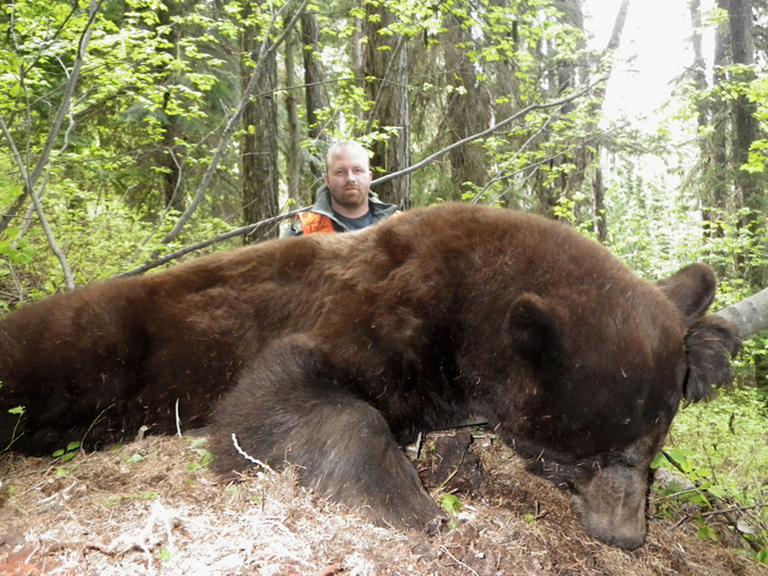 Black Bear Hunts