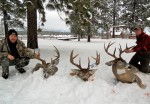 Montana Whitetail Deer Outfitter