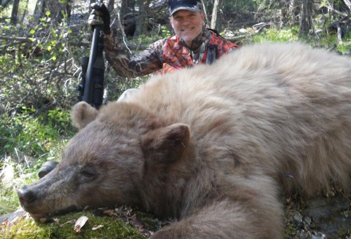 bear hunting bear hunting