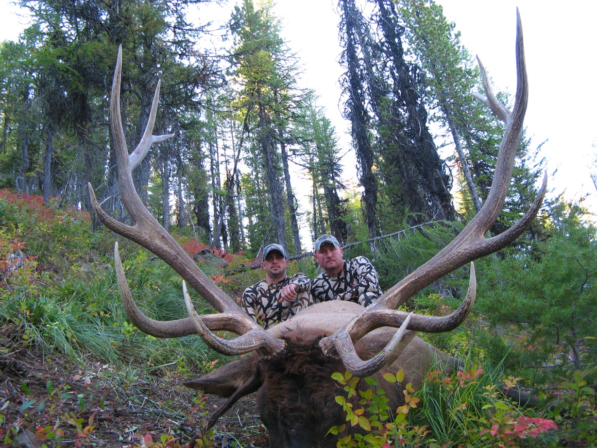 Elk Hunting Trips, Rifle, Archery Big Bull Elk Hunts