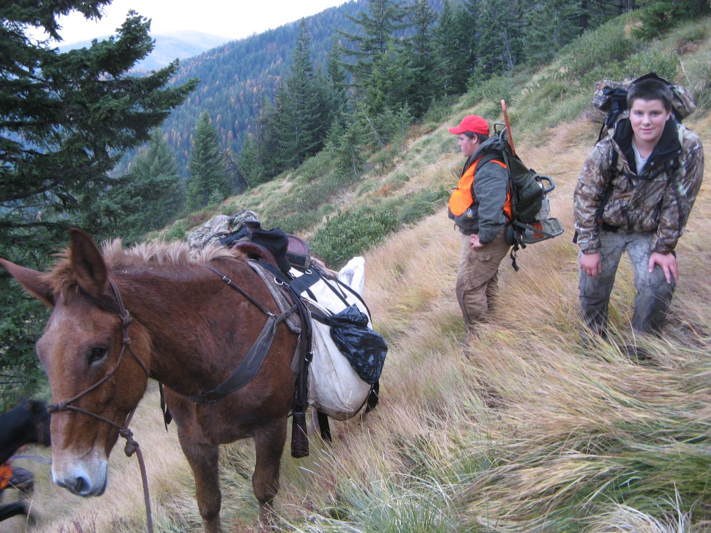Elk Hunting Camp Montana Hunting Outfitter