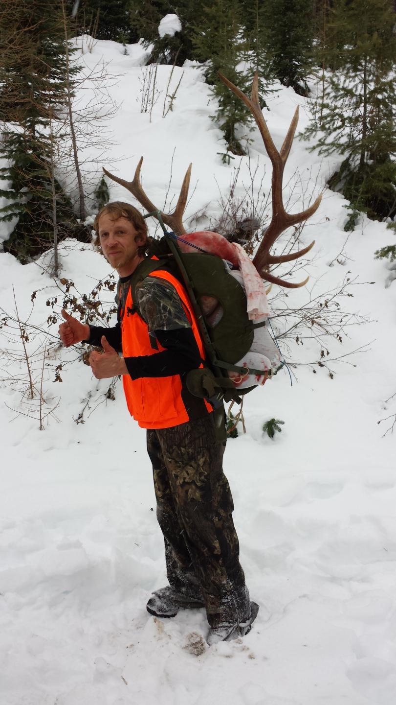 Elk Hunting Spike Camp Montana Hunting Outfitter
