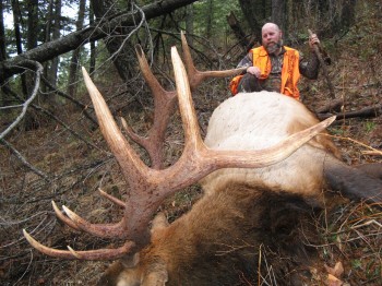 Elk hunting montana