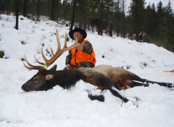 elk hunting trips