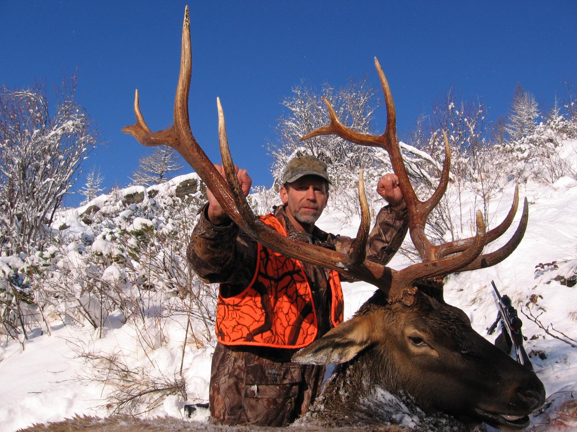 Elk hunts with Cody Carr