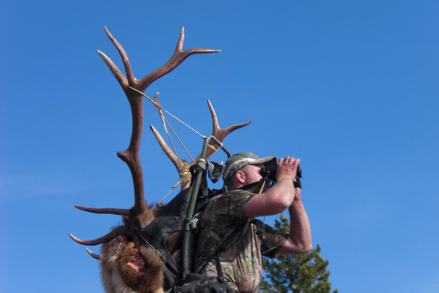Elk Hunting Spike Camp Montana Hunting Outfitter