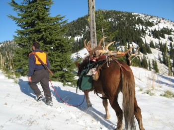Montana hunting camps photos