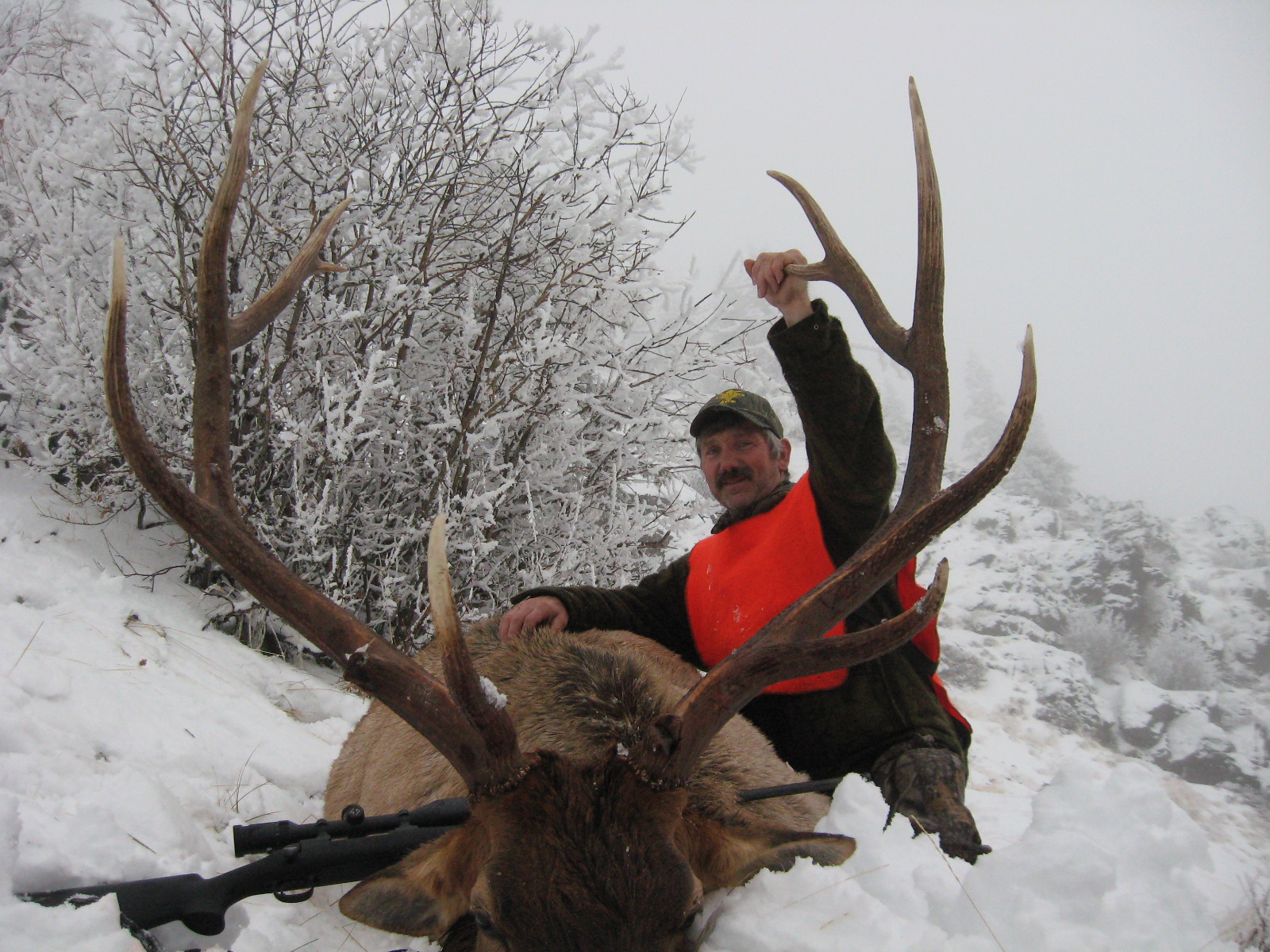Best Montana Rifle Elk Hunts