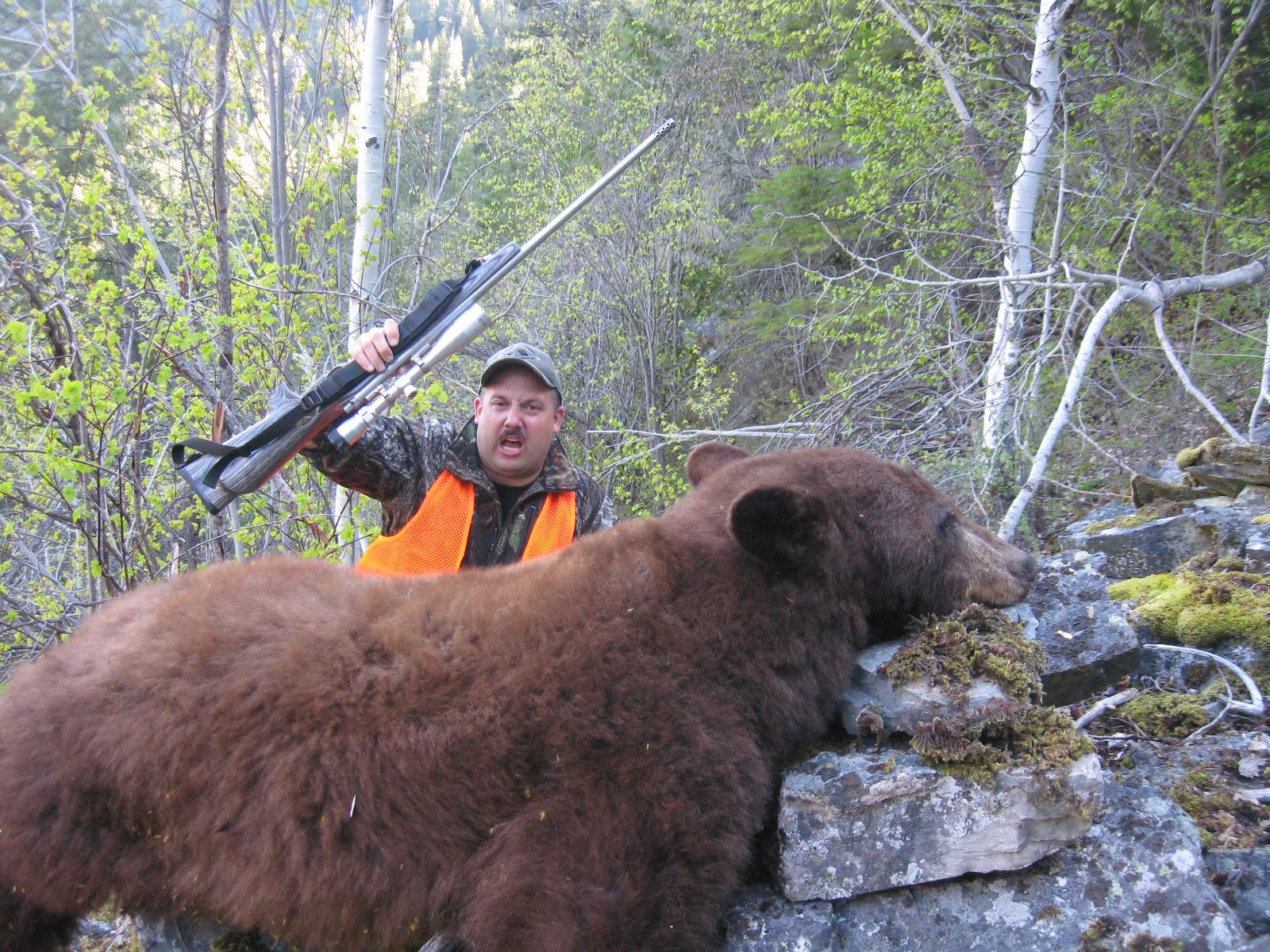 Our Best Black Bear Hunts Montana Hunting Outfitter