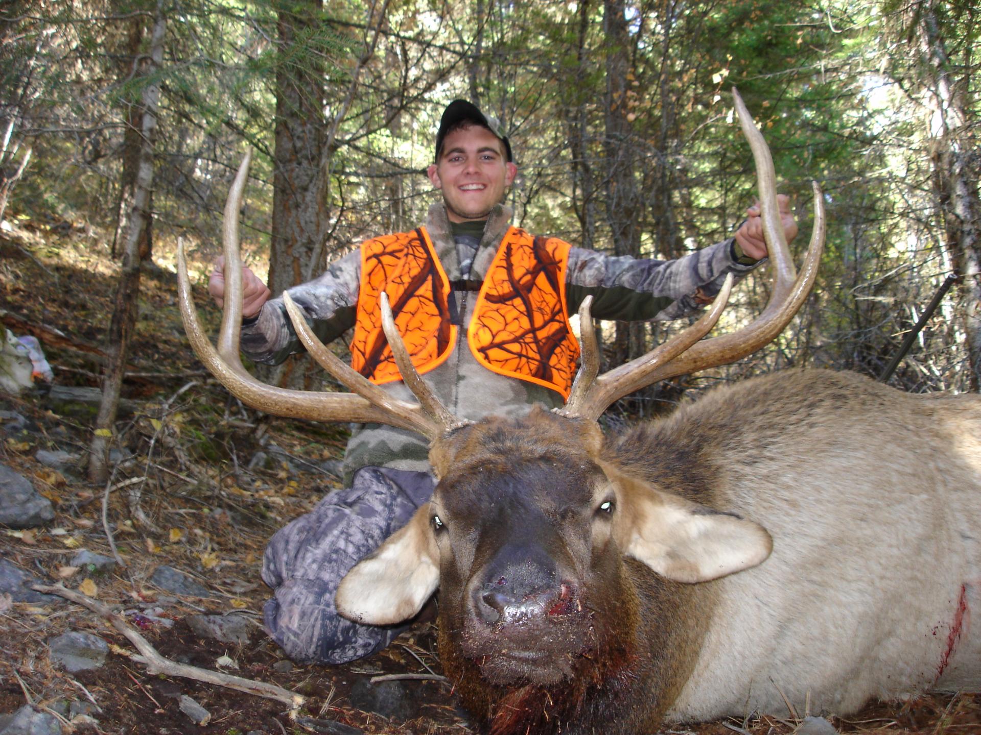 Elk Hunting Trips Montana Hunting Outfitter