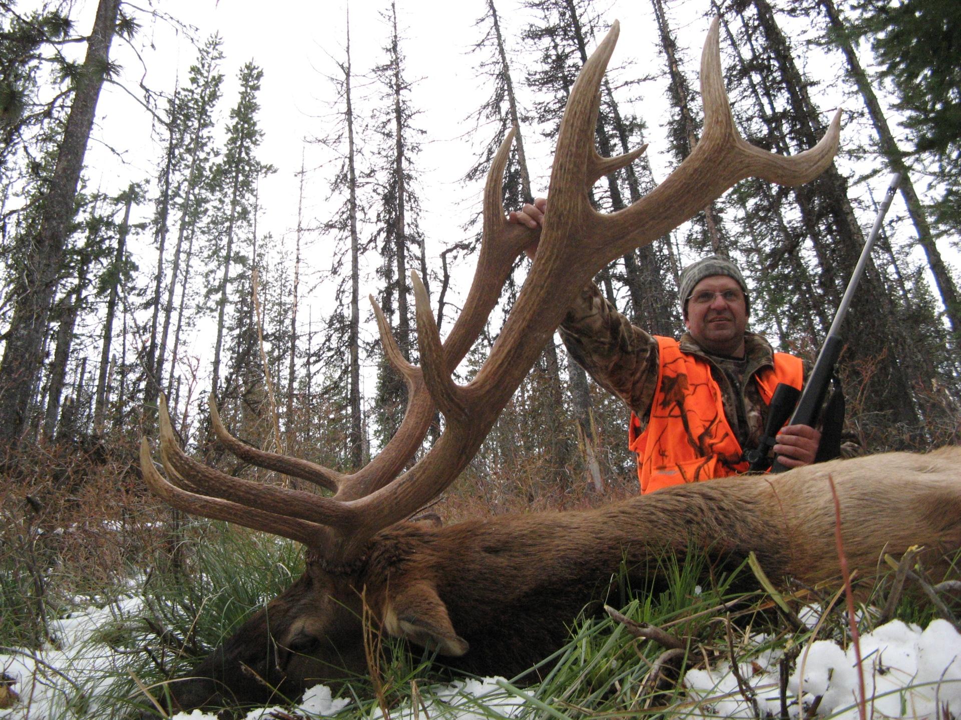 Elk Hunting Trips