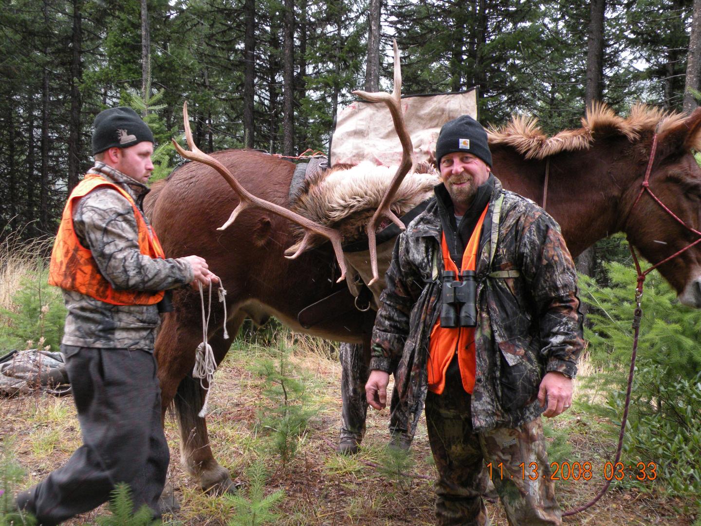 Elk Hunting Camp | Montana Hunting Outfitter