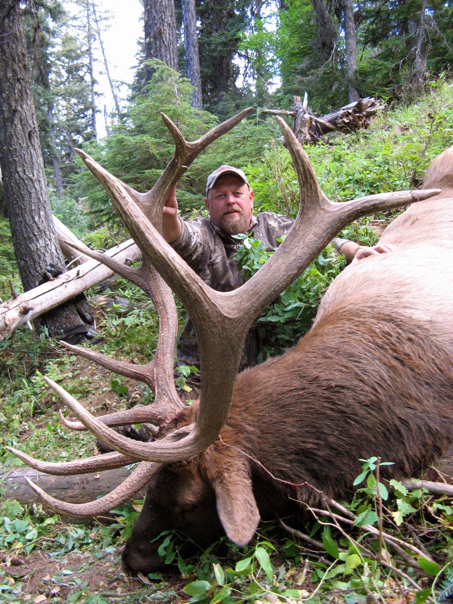 cabela's elk hunting trips