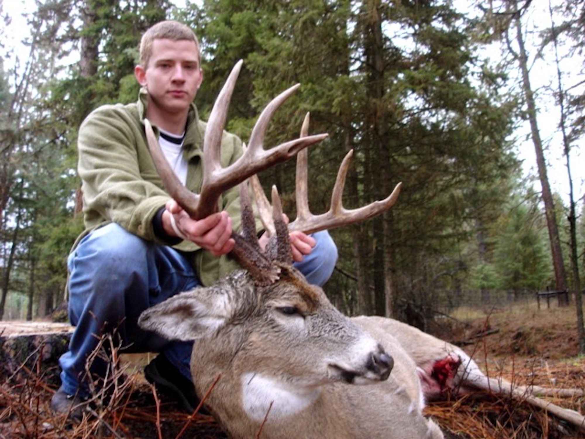 Whitetail Deer Hunting, Rifle Archery Deer Hunting MT