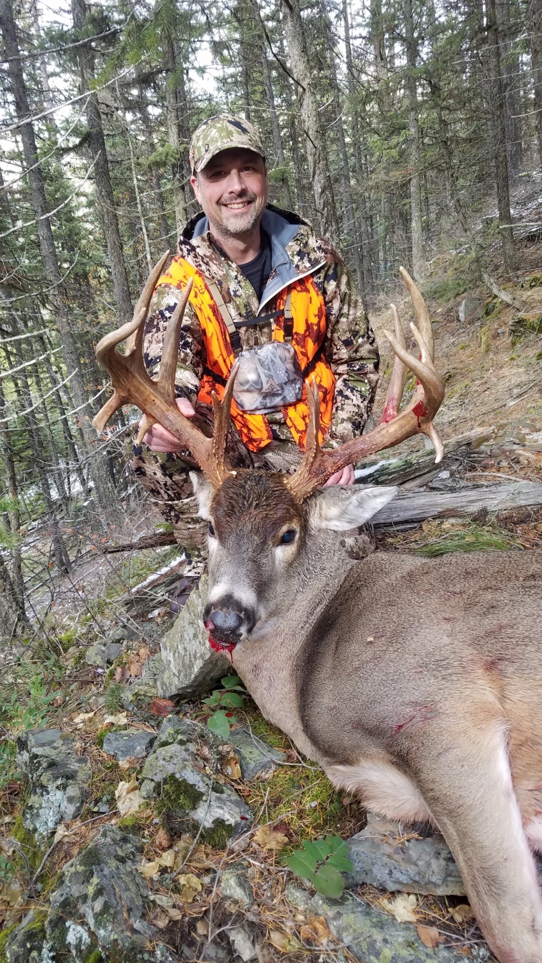 Best Montana Whitetail Deer Hunting Montana Hunting Outfitter