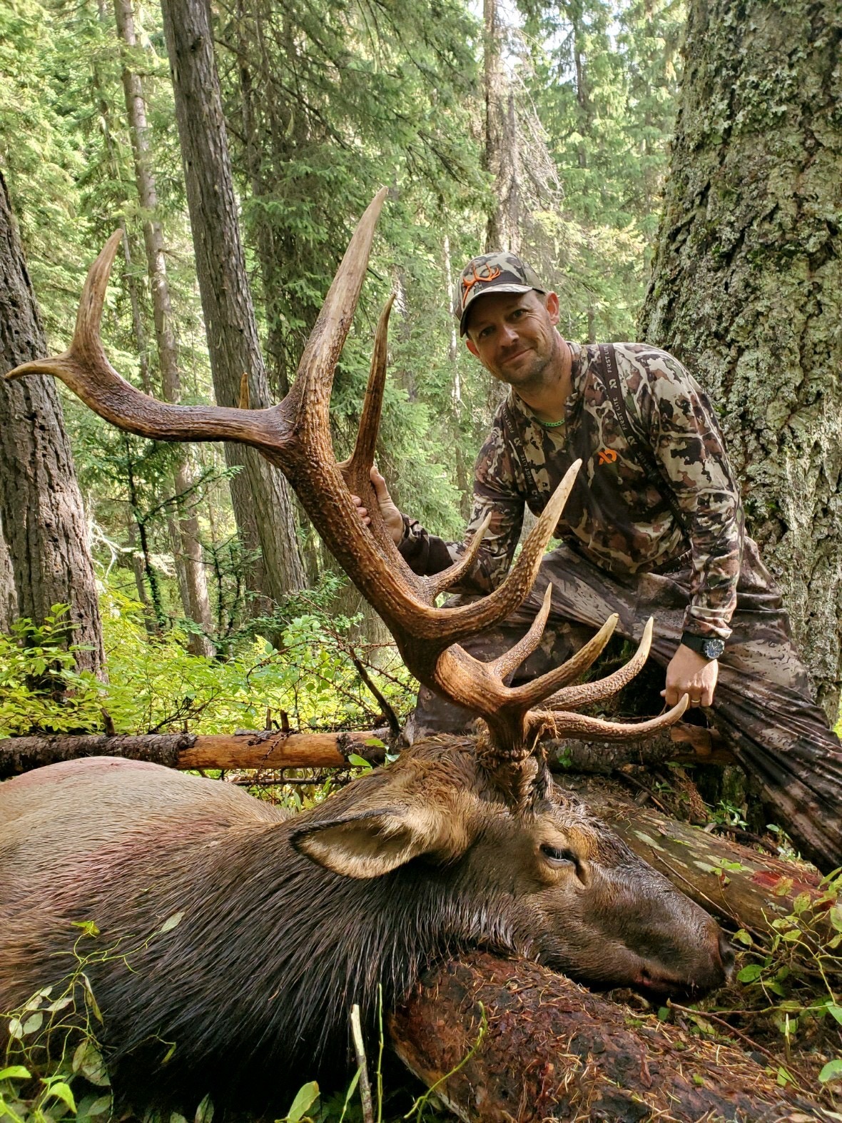 archery elk hunting trips