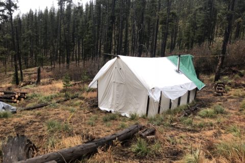 Best Montana Camping