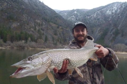 Best Montana Fishing