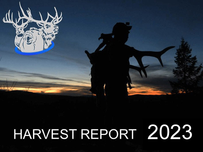 Harvest Report 2023