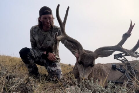 Stran Perry – Guide